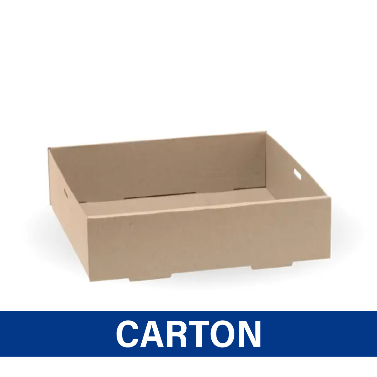 BioBoard Catering Box Base, Small, 225x225x60mm, 100 carton [BB-CB-S ...