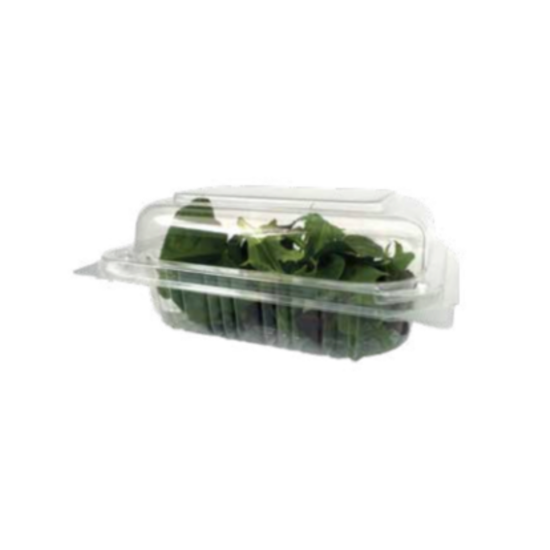 Maxpak PET Hinged Lid Rectangle Container, Burger Clam, 135x140x55, 12 ...